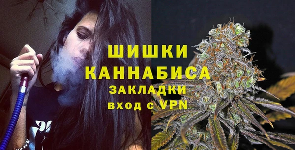 сатива Арсеньев