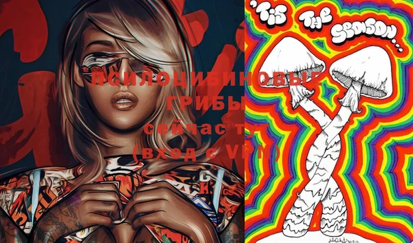стафф Балахна